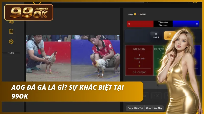 Theo dõi các trận đá gà trực tiếp AOG với chất lượng Full HD sắc nét.