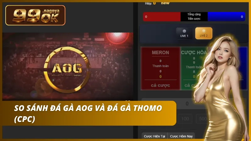 Phân biệt sự khác nhau về luật dùng cựa sắt và quy mô sới gà tổ chức.