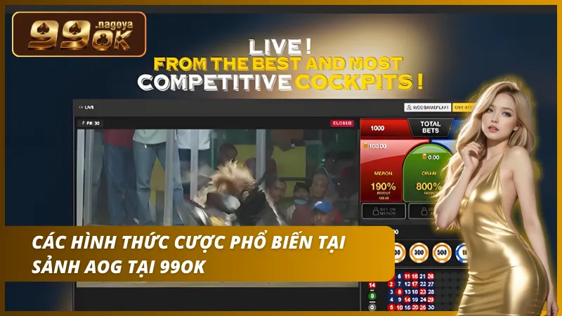 Đặt cược vào cửa Meron hoặc Wala với bảng tỷ lệ kèo cập nhật liên tục.