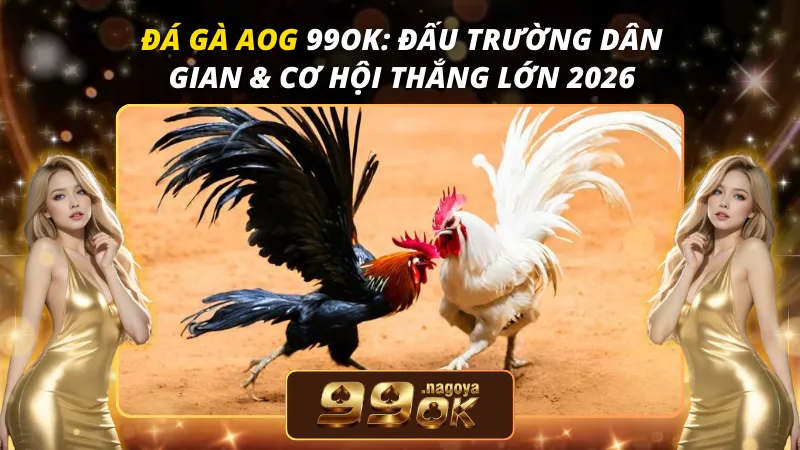 AOG Đá Gà