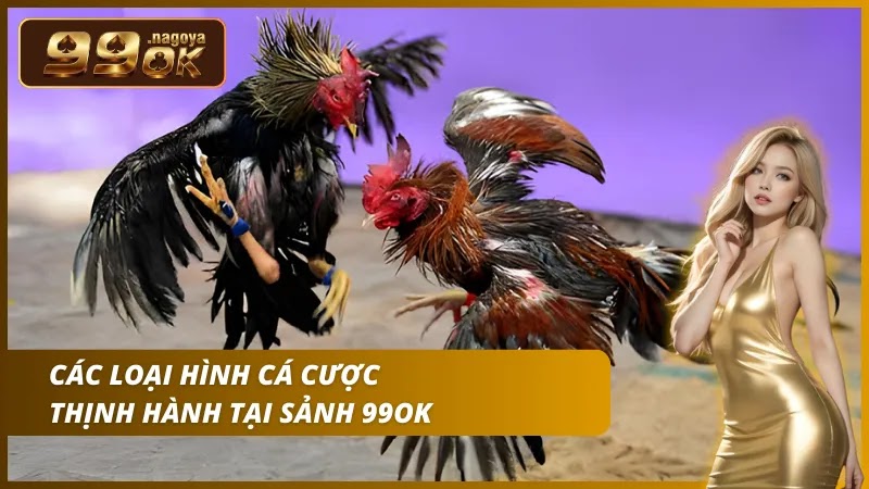 Dự đoán Meron cửa trên – Wala cửa dưới đầy tiềm năng mạo hiểm