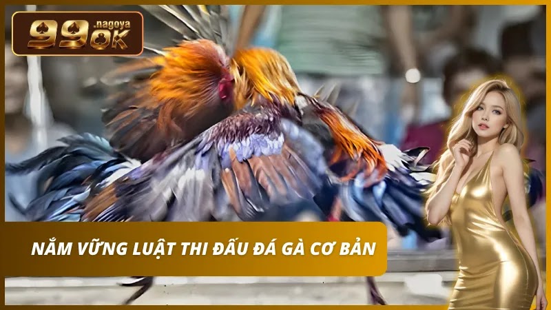 Trọng tài phân định thắng thua khi chiến kê mất khả năng chiến đấu hoặc bỏ chạy.