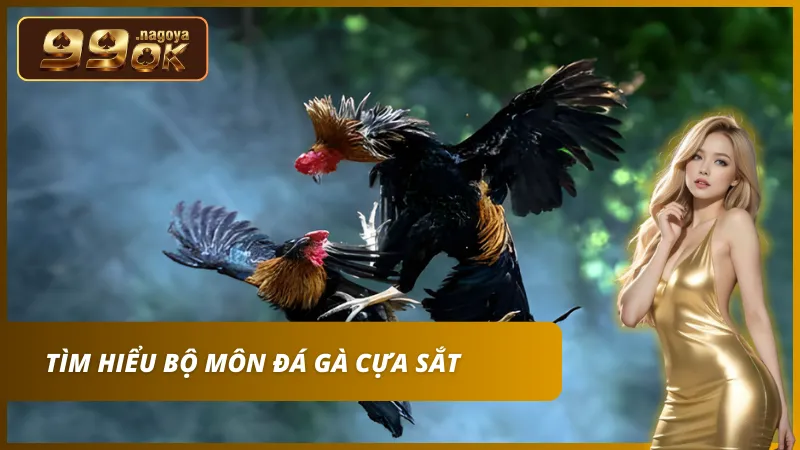 Các trận đấu trang bị thêm cặp cựa tròn giúp tăng tính sát thương và rút ngắn thời gian.