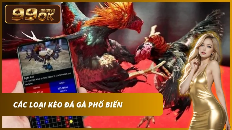 Lựa chọn đặt cược vào cửa Meron hoặc Wala với tỷ lệ trả thưởng hấp dẫn.