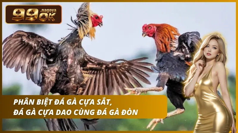 Cựa sắt chuyên về đòn đâm xuyên nội tạng khác biệt hoàn toàn với kỹ thuật chém của cựa dao.