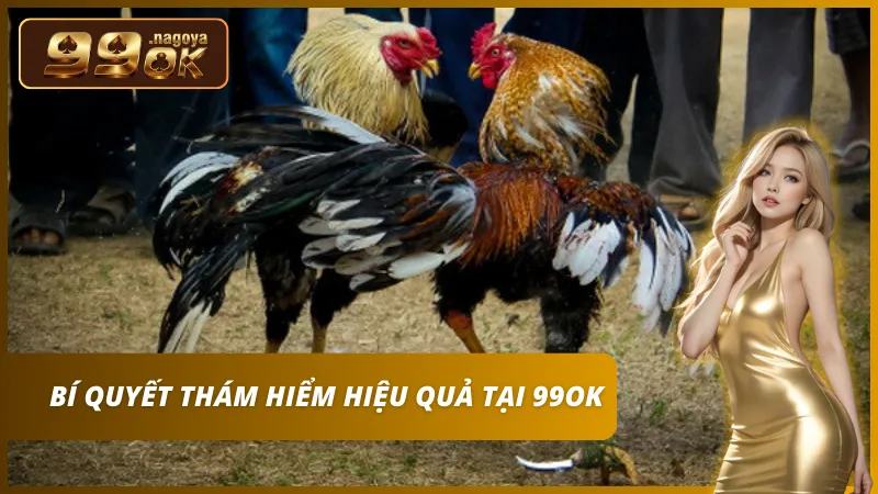 Phân tích kỹ lịch sử đối đầu và quan sát thần thái chiến kê trước giờ G.