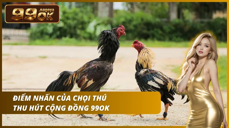 Trải nghiệm không khí trường gà sôi động với chất lượng hình ảnh sắc nét chân thực.