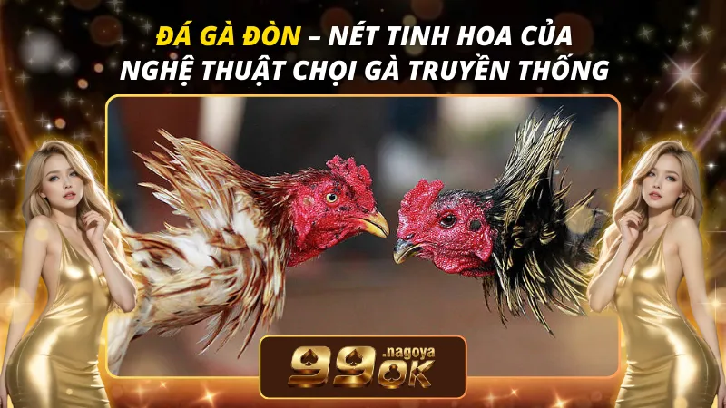 Đá Gà Đòn
