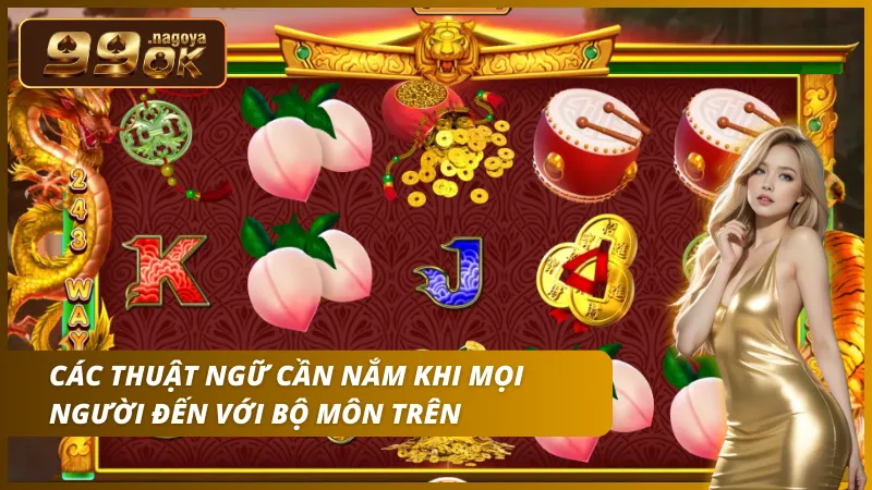 Phân biệt cửa Hòa (Tie) và cược Chẵn/Lẻ để đa dạng hóa vé cược.