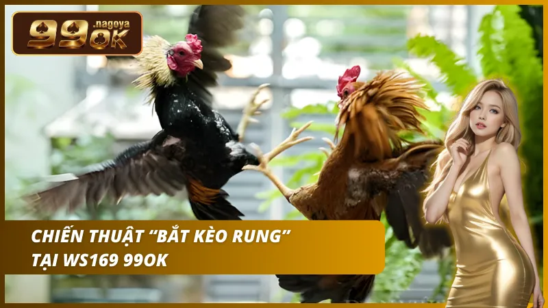 Chiến thuật “Bắt kèo rung” tại Ws168 Đá gà