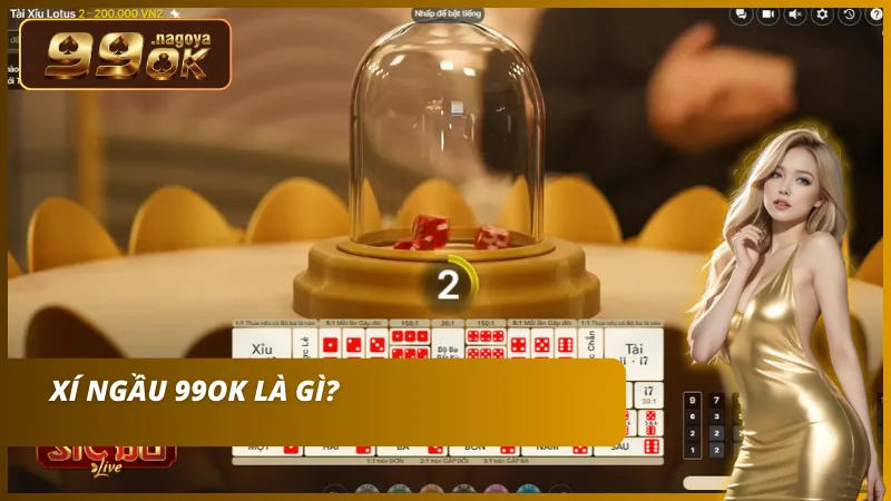 Dự đoán tổng điểm của 3 viên xúc xắc lắc trong lồng kính.